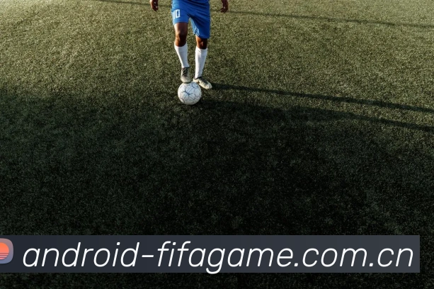 FIFA官方数据授权证书